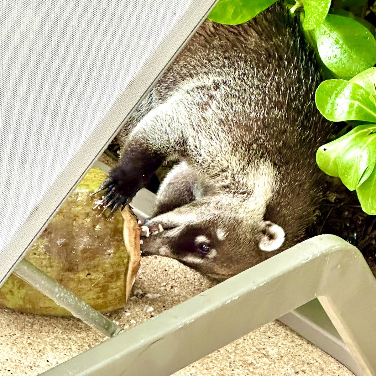 Amy Hermes tweet media