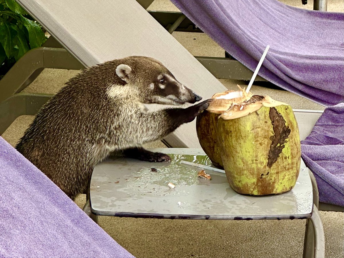 Amy Hermes tweet media