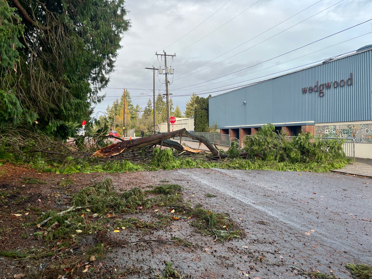 River40576131's tweet photo. @Roosiehood @RavennaBlog Things are rough in NE Seattle! https://t.co/ksN8OakCmL