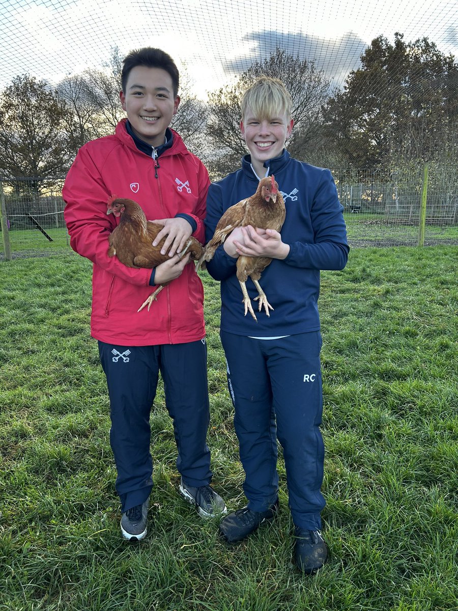 Another lovely afternoon with the Shell Countryside Centre Programme. Groups shooting, doing some livestock management, planting trees and walking out the hounds. Great group of youngsters, enjoying time out in the countryside. 🌳