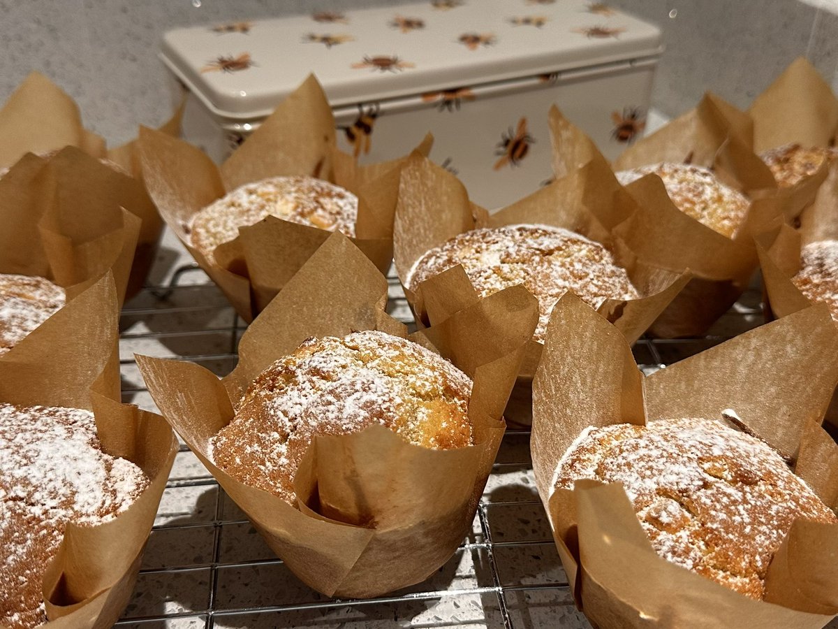 pvt_ak's tweet image. Fresh out of the oven—white chocolate chip muffins! Sometimes you just feel that baking itch, don’t you? These beauties definitely hit the spot. What’s your go-to treat to bake?

#BakingTherapy #HomemadeGoodness #WhiteChocolateMuffins #AllotmentBakes #LoveToBake