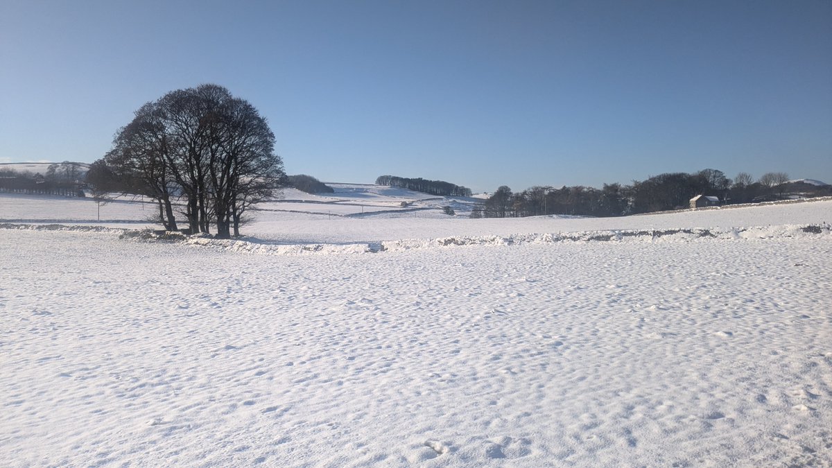 Andrew Cowell tweet media