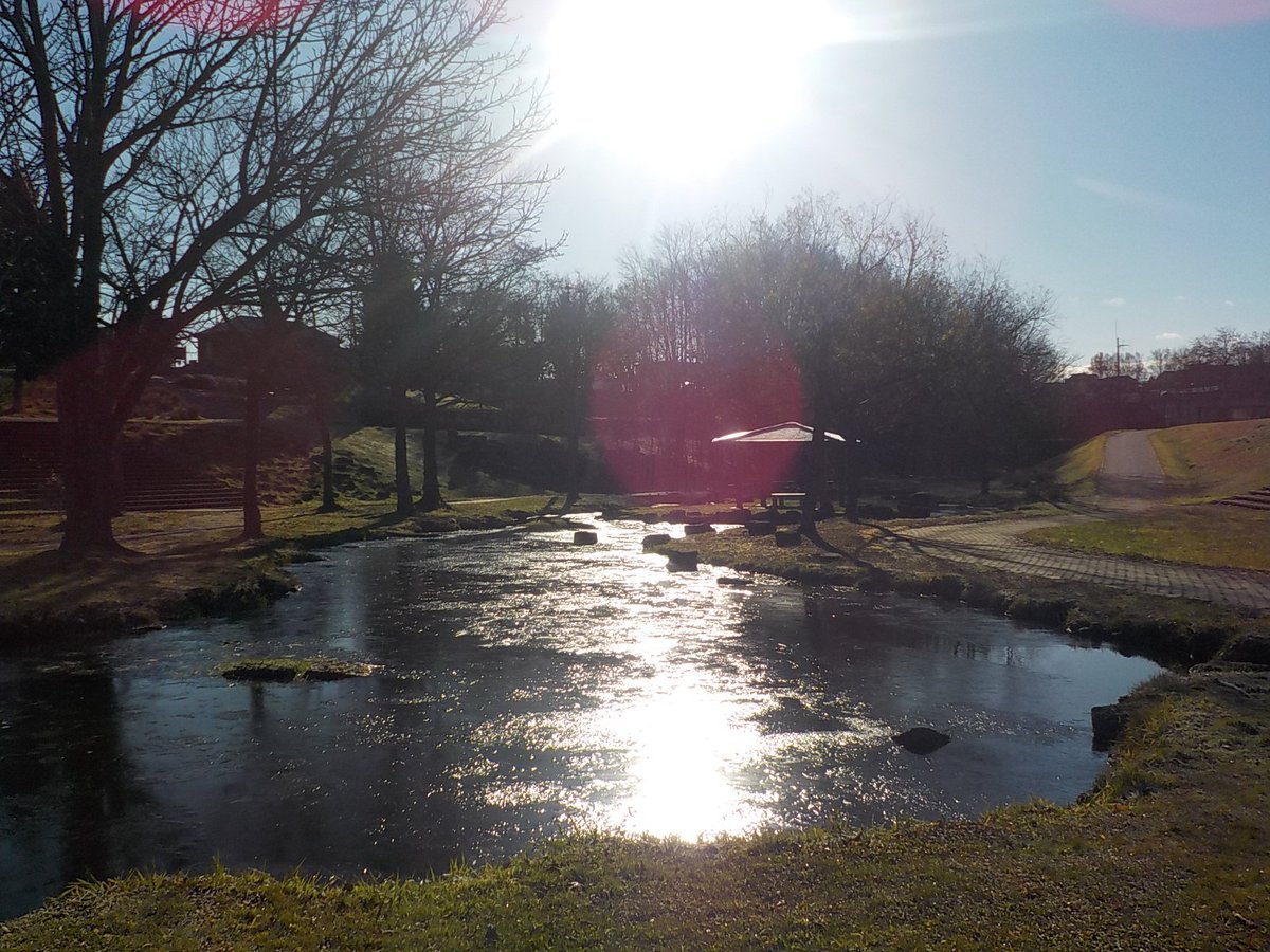 ほっとあいず（＝道海）™ tweet media