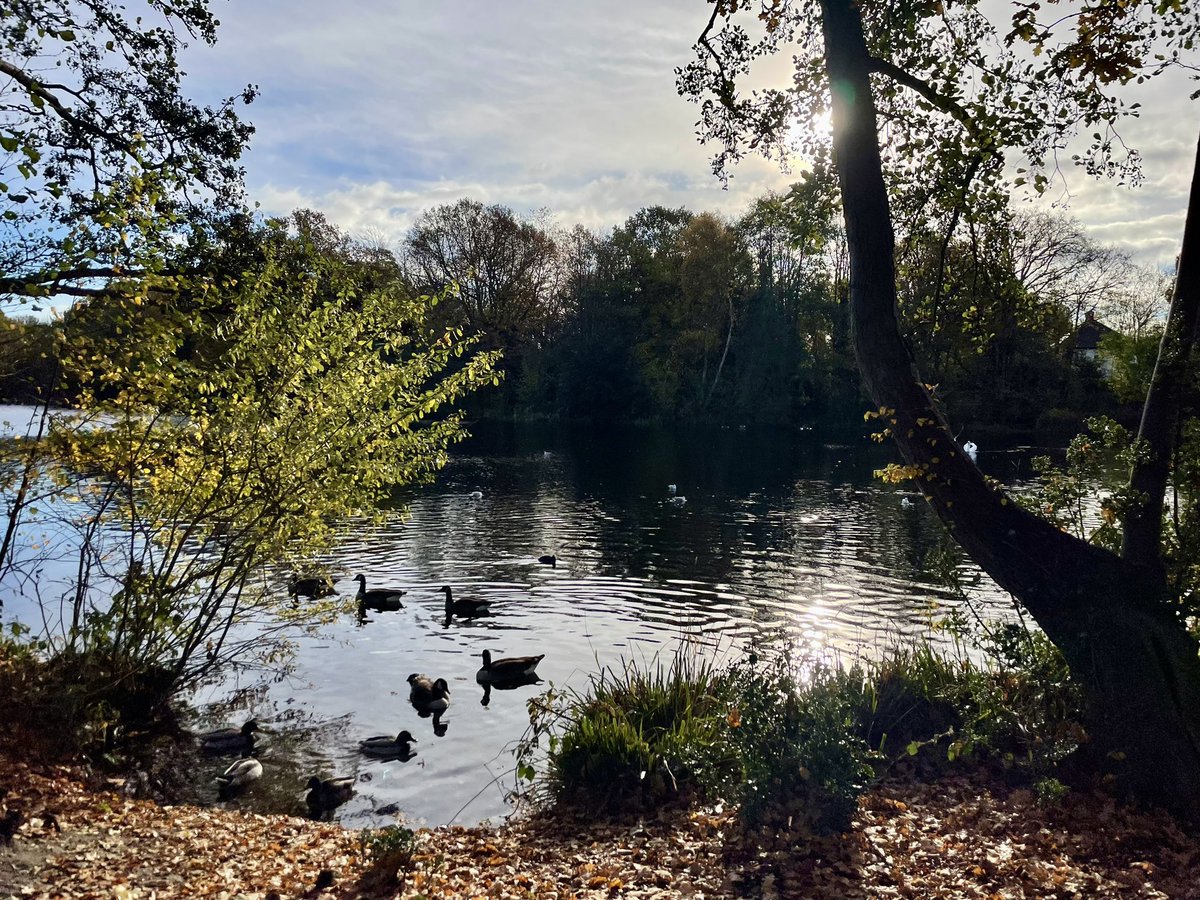 Flissej's tweet image. Forest School 🌳🍂🍁💚☺️
🌟The bus journey, jumping in muddy puddles, collecting treasures, climbing trees & basking in nature.🌟
One of the children commented:
‘I’m so happy to be here looking at the cows.’🐮🥹
So much joy, so much learning.
#earlyyears #play #nature