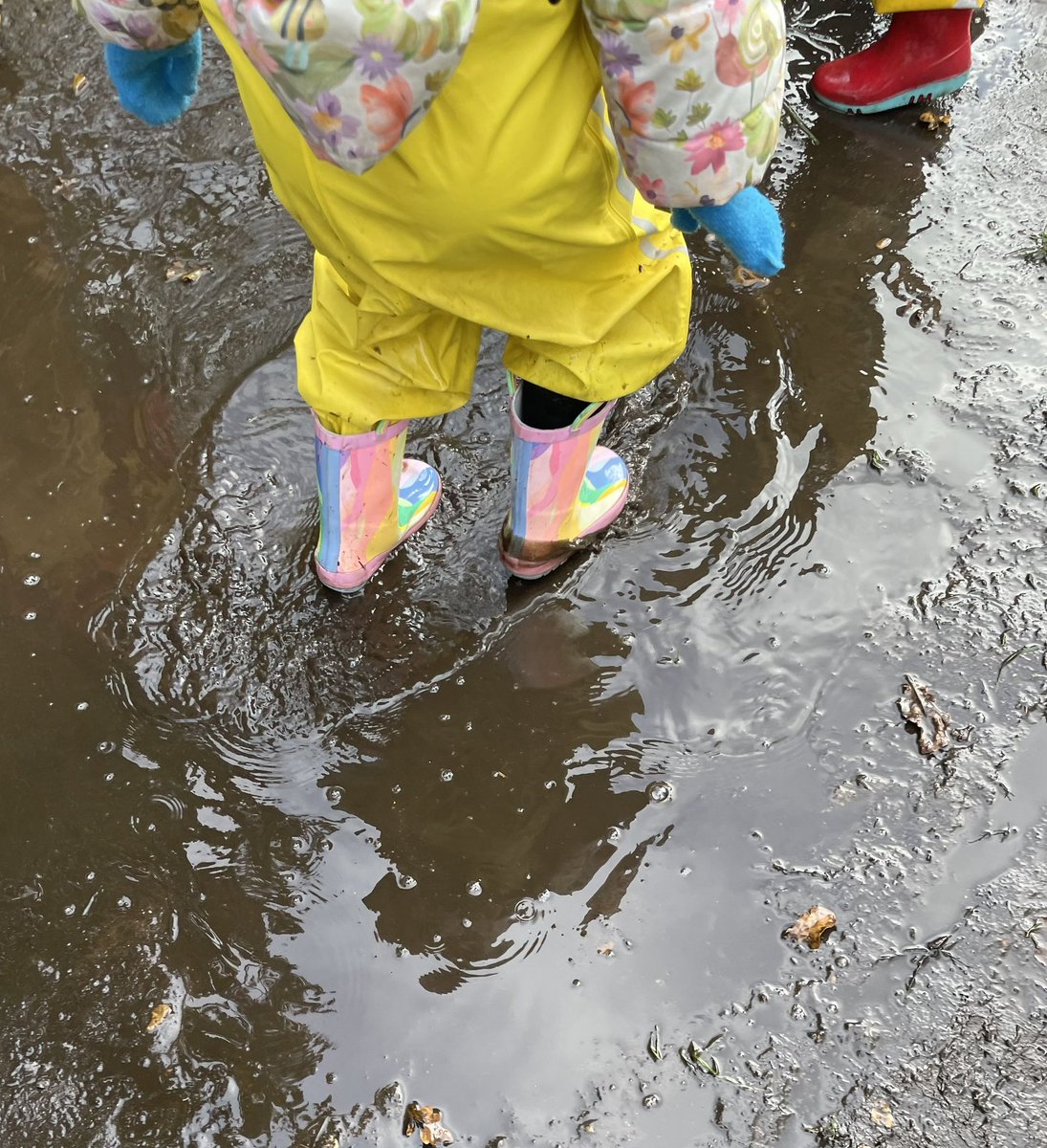 Flissej's tweet image. Forest School 🌳🍂🍁💚☺️
🌟The bus journey, jumping in muddy puddles, collecting treasures, climbing trees & basking in nature.🌟
One of the children commented:
‘I’m so happy to be here looking at the cows.’🐮🥹
So much joy, so much learning.
#earlyyears #play #nature