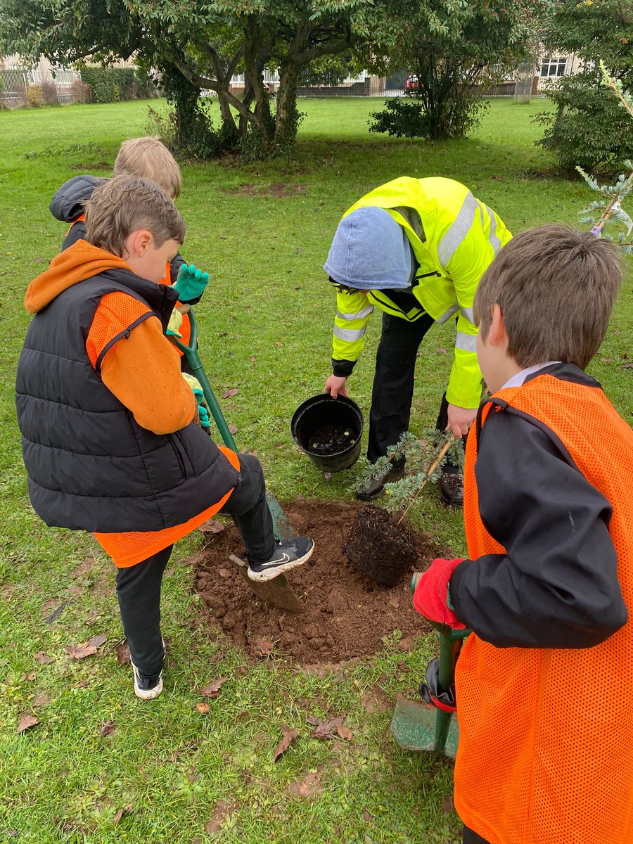 Ysgol Cwm Brombil - Primary Phase tweet media