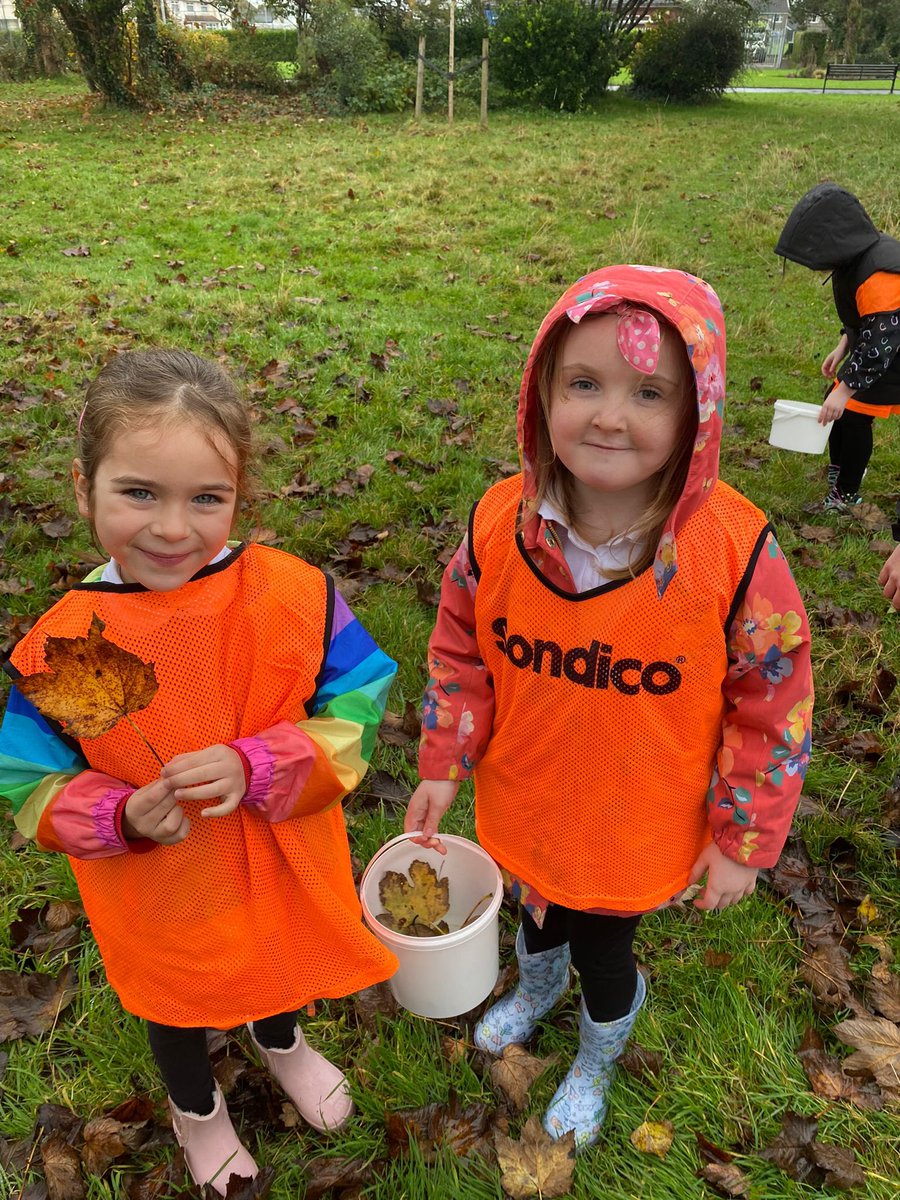 Ysgol Cwm Brombil - Primary Phase tweet media