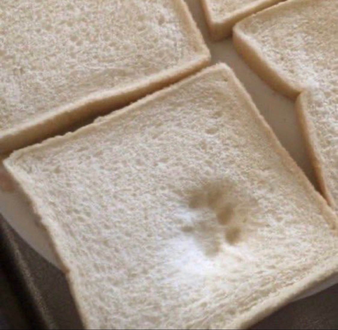 jos1ahtrelawny's tweet photo. "who left this paw
 print in my bread?"                    "oh, shim shablam!” https://t.co/a8YK432e7N