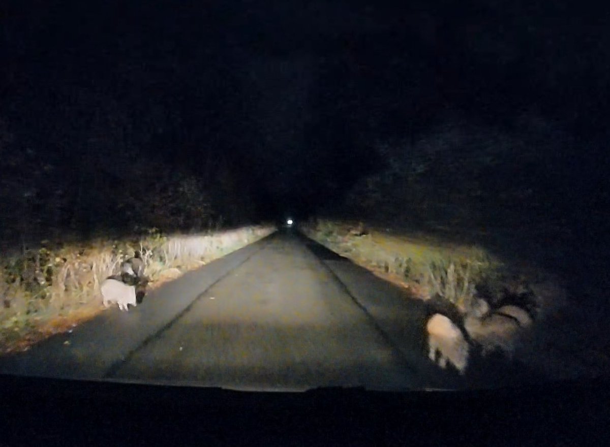 Playstation-Gate.com tweet media