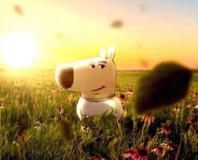 gotthemhorlicks's tweet photo. @ERMI_000 Chill out and smell the flowers man https://t.co/NbvoMVdoVS