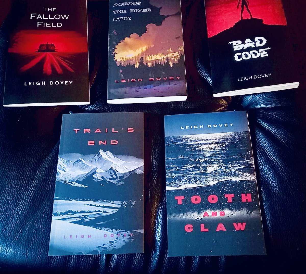 leighdovey's tweet image. Winter reads.                                    #badcode #thefallowfield #trailsend #toothandclaw #acrosstheriverstyx
