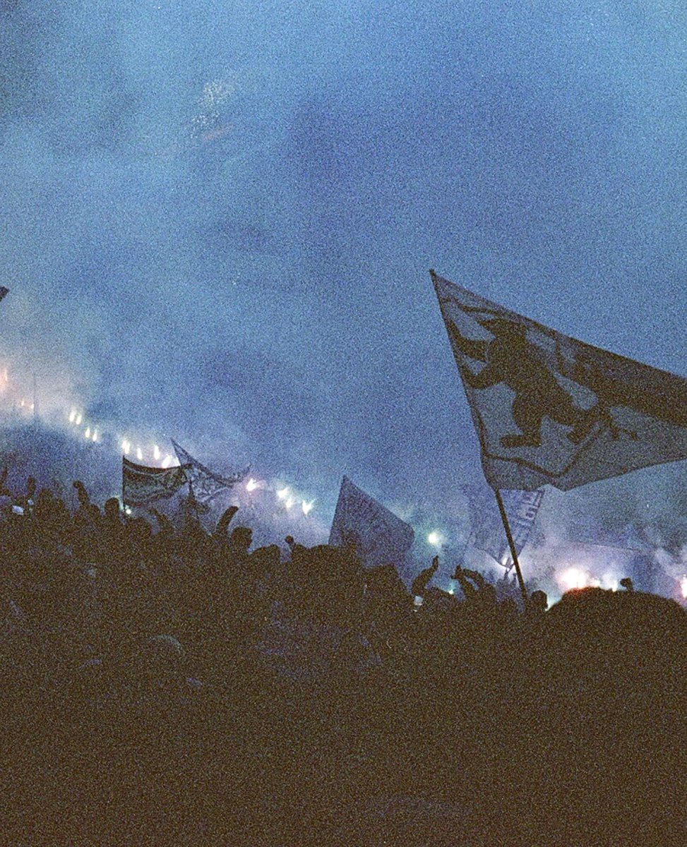 fc_travel_ tweet media