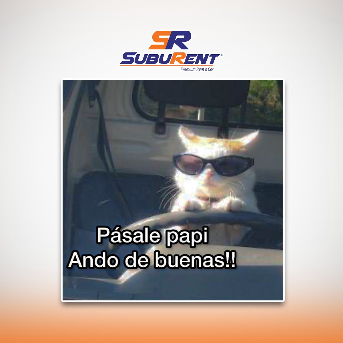 SUBURent's tweet photo. Andamos de buenas 😅👌
 ¡Haz de cada kilómetro una experiencia inolvidable con #SubuRent!
.
𝗥𝗘𝗦𝗘𝗥𝗩𝗔 𝗬𝗔 📲 229 951 2166
.
#FelizMiércoles #rentadeautos #rentacar #autos #traslados #VeracruzPuerto https://t.co/LDQFdypUo6