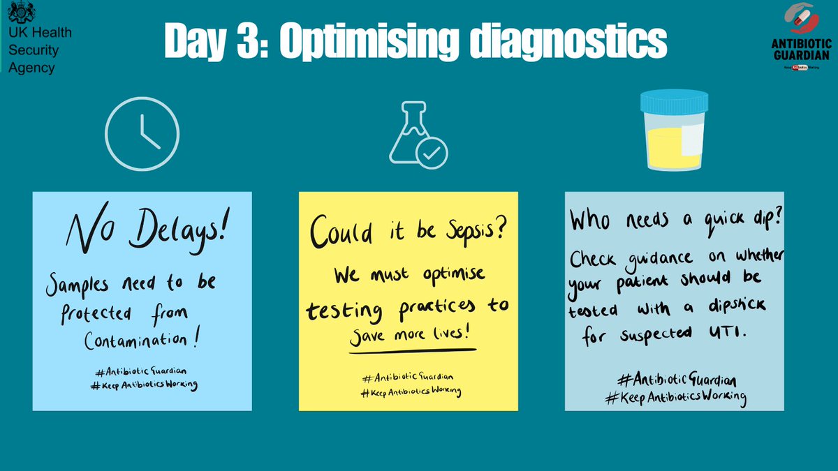 DrDianeAshiru's tweet photo. Day 3 of #WAAW: Themes for weekdays in WAAW that colleagues can use or adapt to base their own local WAAW activities and communications on.
Themes also mapped to 2024 to 2029 national action plan outcomes #ConfrontingAMR
#AntibioticGuardian #WAAW2024
https://t.co/Hle0Ai2a8B https://t.co/NpbaexL9cL