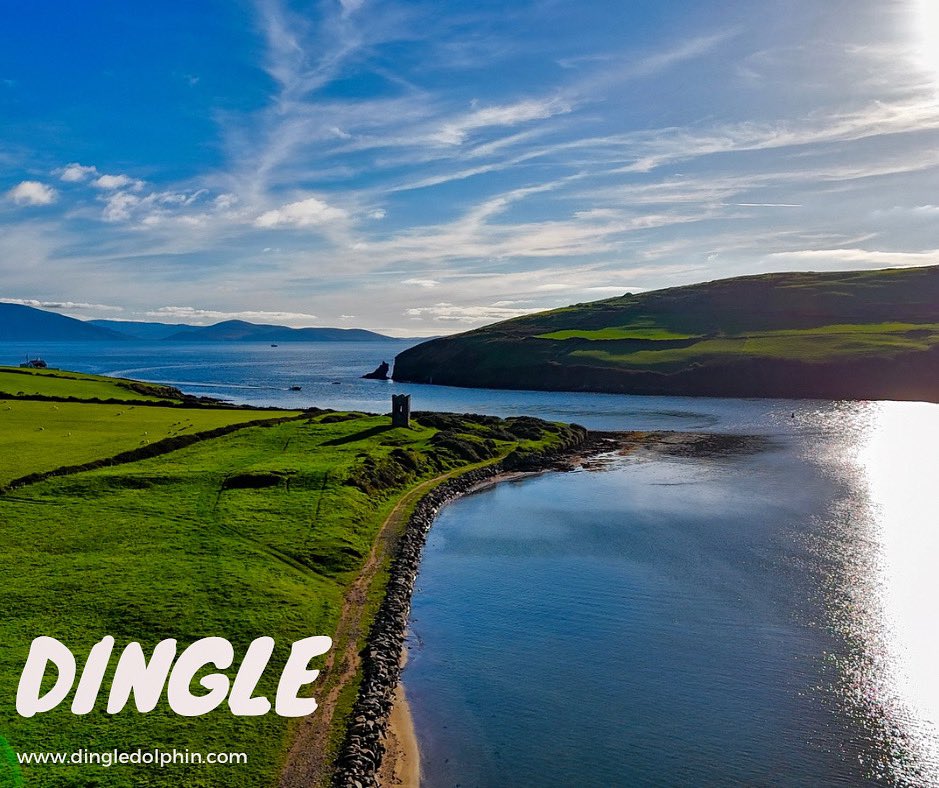 dingle_dolphin's tweet photo. Autumn days. 
#dingle #discoverireland #Ireland https://t.co/29O3qXVGQi