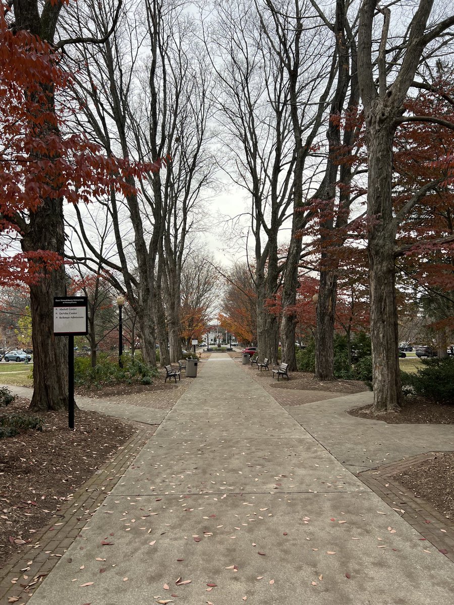 CoachSantella's tweet photo. I told you every day this picture and lighting looks a little different.  Still gorgeous. https://t.co/UySKzotmXM