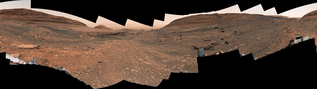 إياد الحمود tweet media