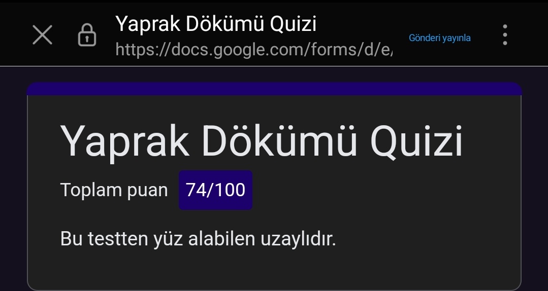 tam puan için çabalayacağım