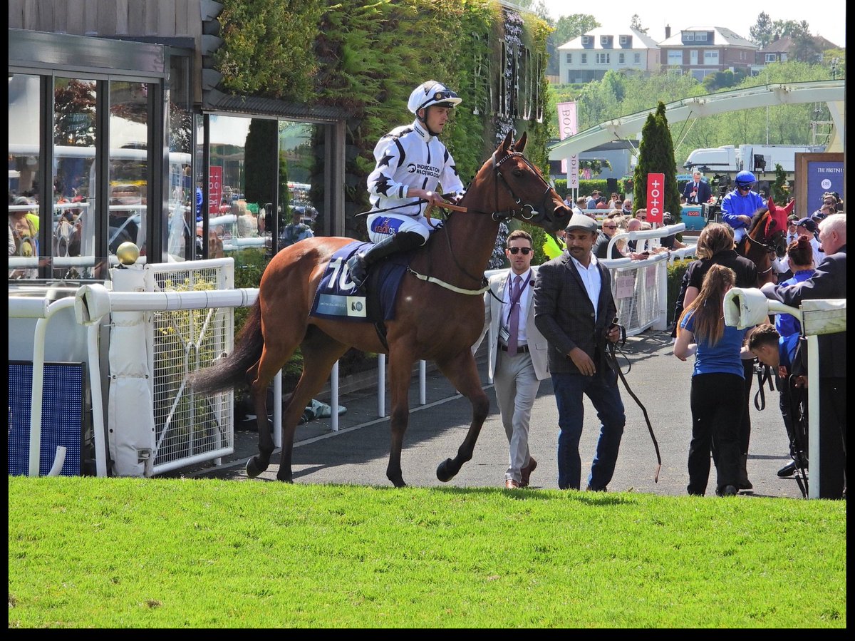 RookeryBloodstockUK (@rookeryracing) on Twitter photo Delighted to have bought Teej A from Nick Bradley & Karl Burke at the recent Tatts HIT sale. A daughter of Mehmas out of a Requinto mare she already has good Chester form and new trainer <a href="/donaldmccain/">Donald McCain Racing</a> will be targeting all the good 5f/6f sprints at the Roodee next season Delighted to have bought Teej A from Nick Bradley & Karl Burke at the recent Tatts HIT sale. A daughter of Mehmas out of a Requinto mare she already has good Chester form and new trainer <a href="/donaldmccain/">Donald McCain Racing</a> will be targeting all the good 5f/6f sprints at the Roodee next season