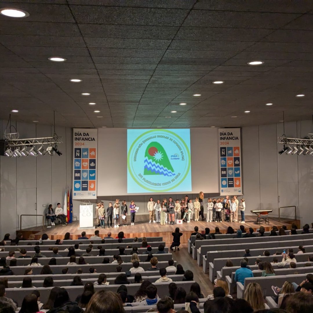 P Estudio tweet media