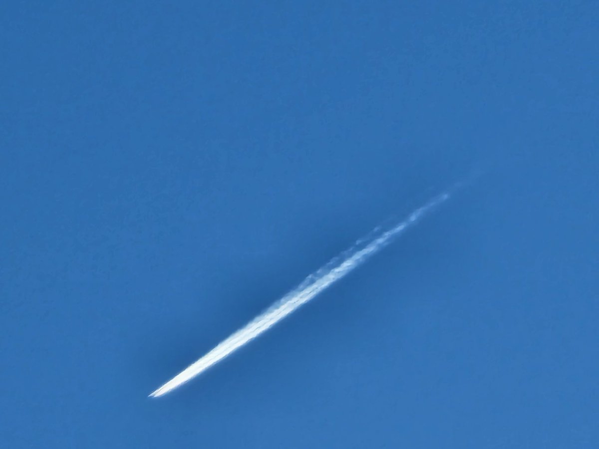 bully coin tweet media