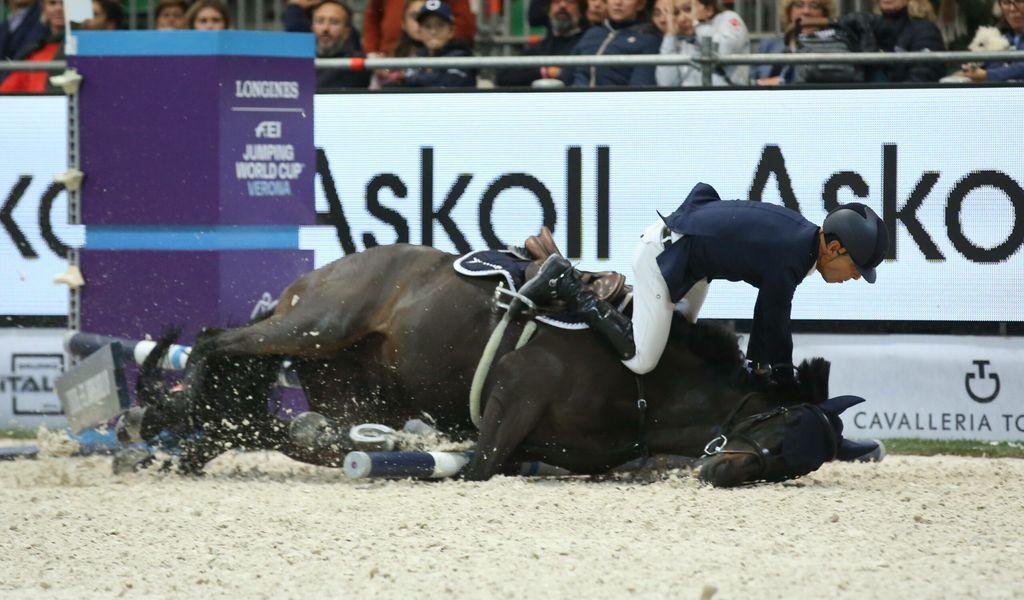 Pferd stirbt nach Sturz bei Rennen in München: Tierschützer empört bit.ly/4fUnGjN