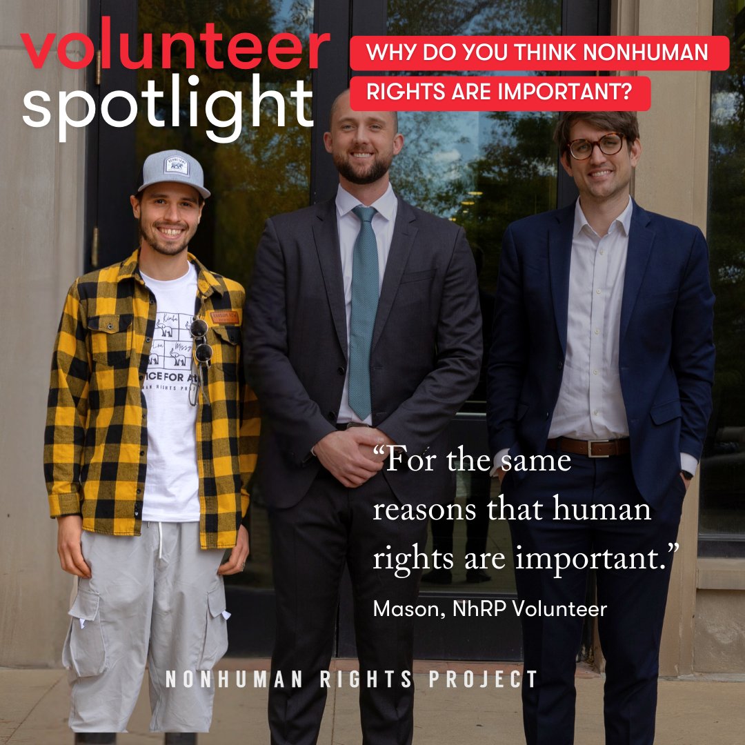NonhumanRights's tweet photo. “The reason I wanted to work with the NhRP specifically is because the work being done here is unique” - Mason, NhRP Volunteer. Volunteers like Mason are essential as we have open cases in multiple states.👉 Interested in volunteering? https://t.co/bKR2XukF8W https://t.co/S8dzL56kwQ