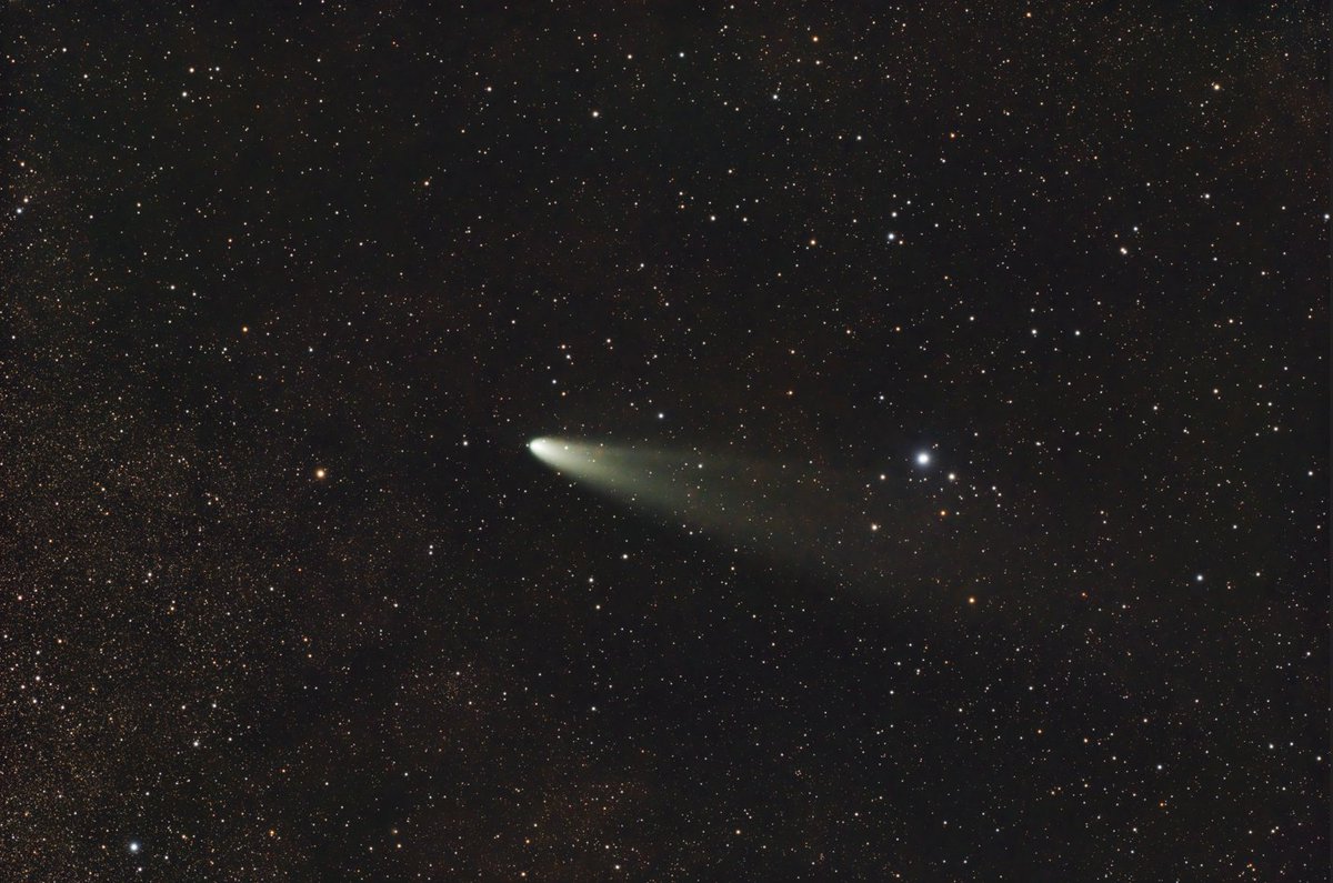 Comet still going strong, but heading away quickly.  1 hour before it went behind the trees. #OnlyRealSpace #Space #Astrophotography