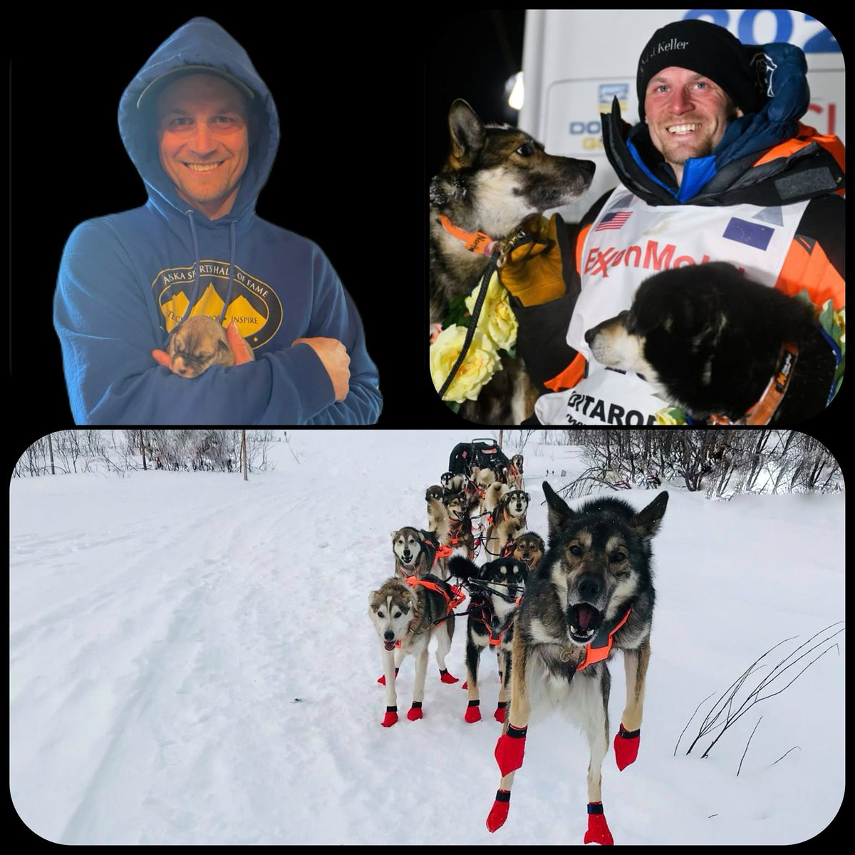 North is the proud papa! 😁🐶🐾

I knew you guys were too smart for your own good!
Can't wait to share more updates on this little one and the rest of his siblings. 

Stay tuned!

#alaska #sleddogs #alaskanhuskies #mushinglife #puppylove #alaskalife