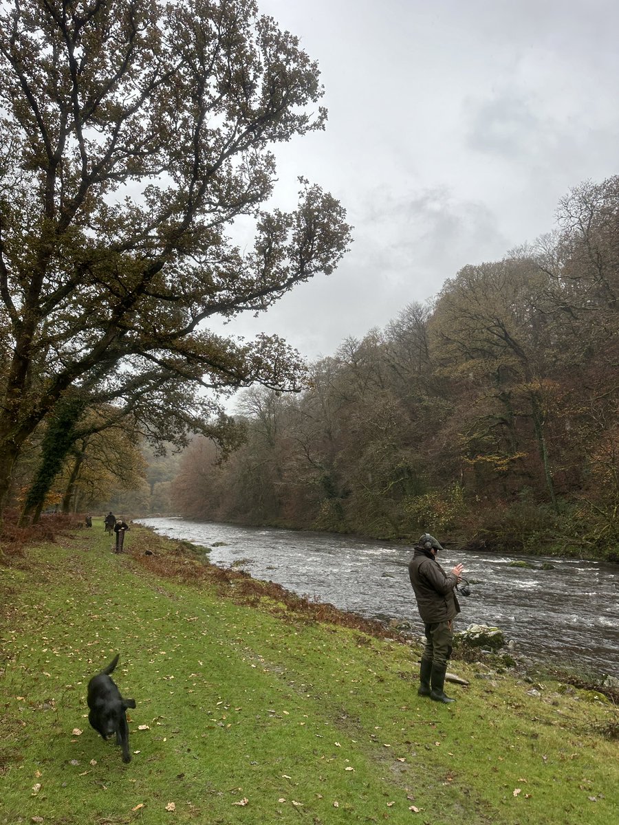 SWSporting tweet picture