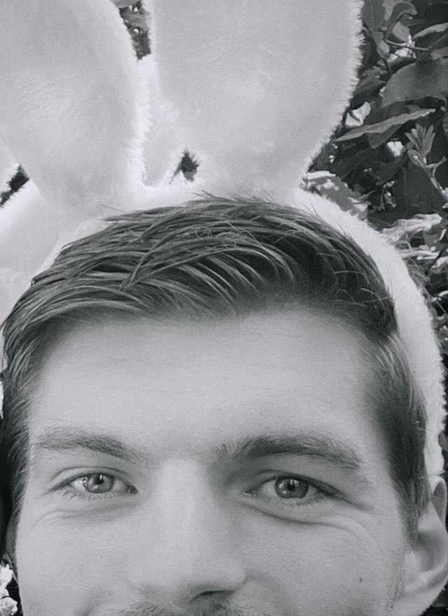 a cat with bunny ears!