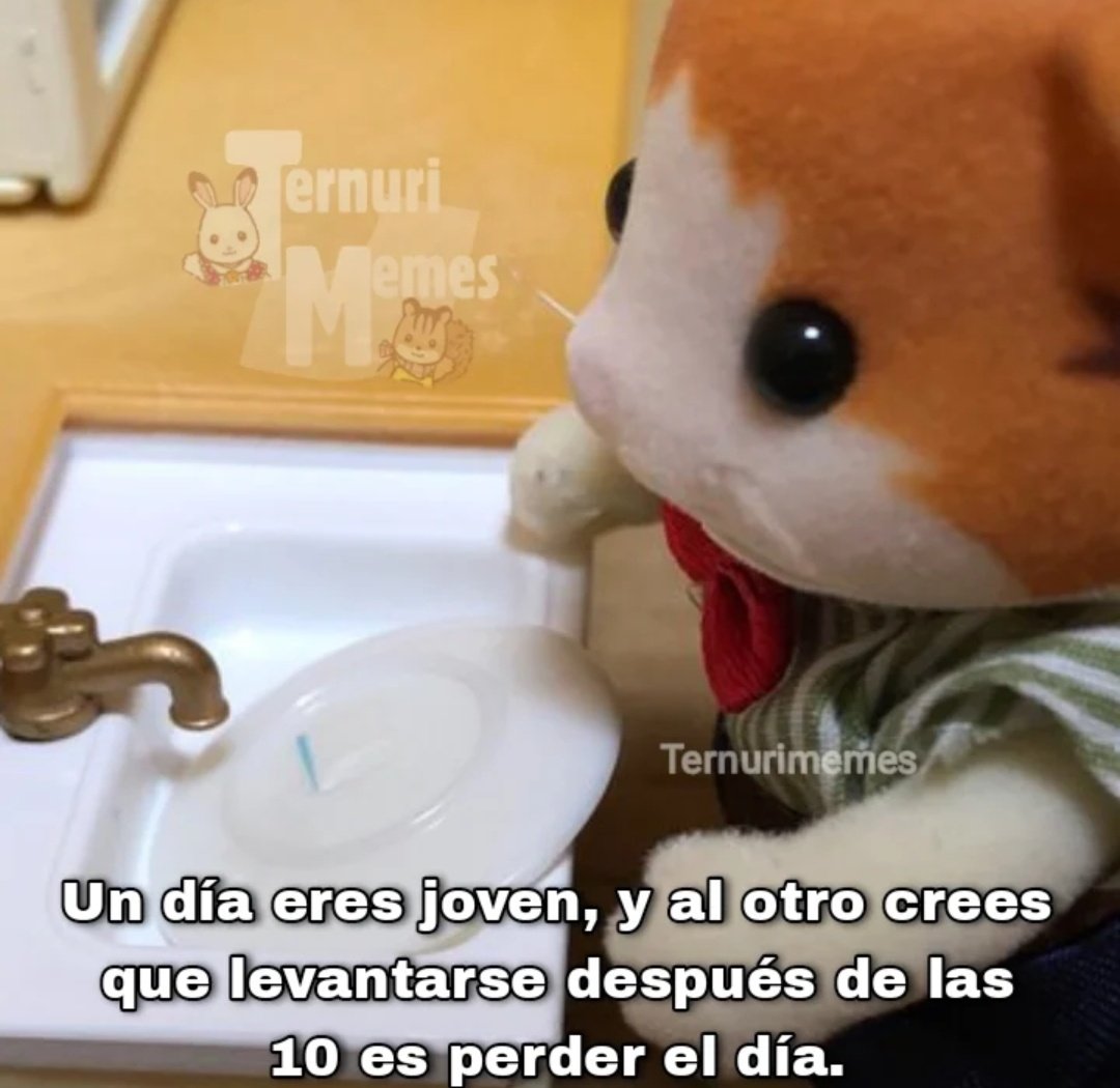 MiniAnimales's tweet photo. https://t.co/BwZSqce4Xm
