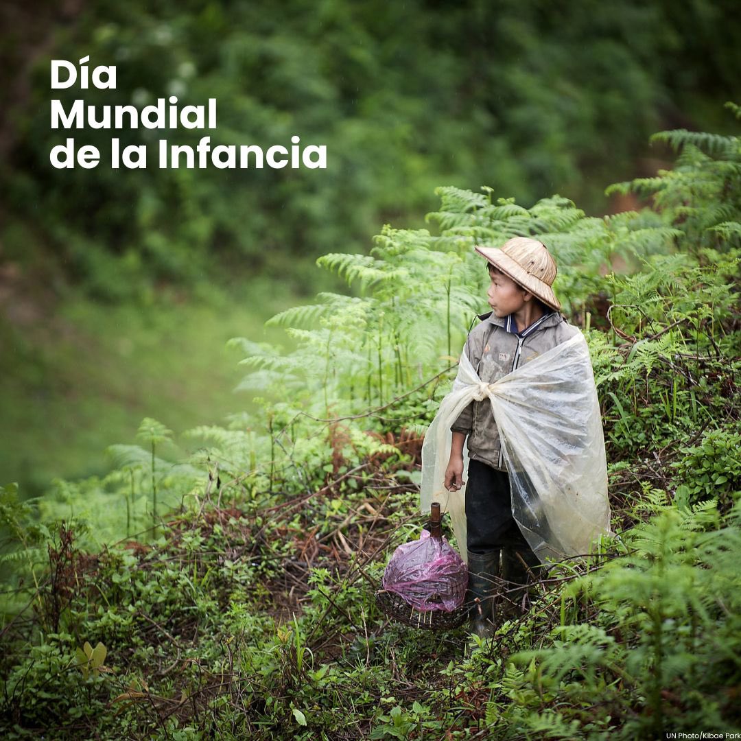 La crisis climática pone en riesgo el derecho de la infancia a la salud, a un planeta habitable y a un futuro mejor.

En el #DíaMundialDeLaInfancia, pide a cada líder mundial: ¡#ActúaAhora por todos los niños y niñas!