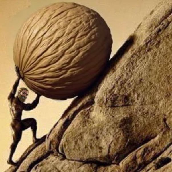 CHADS know the grind. 🏋️‍♂️ To reach the top, you must carry the weight of THESE NUTS. 🌰🐿️ The journey to NUTopia isn’t for the faint of heart!