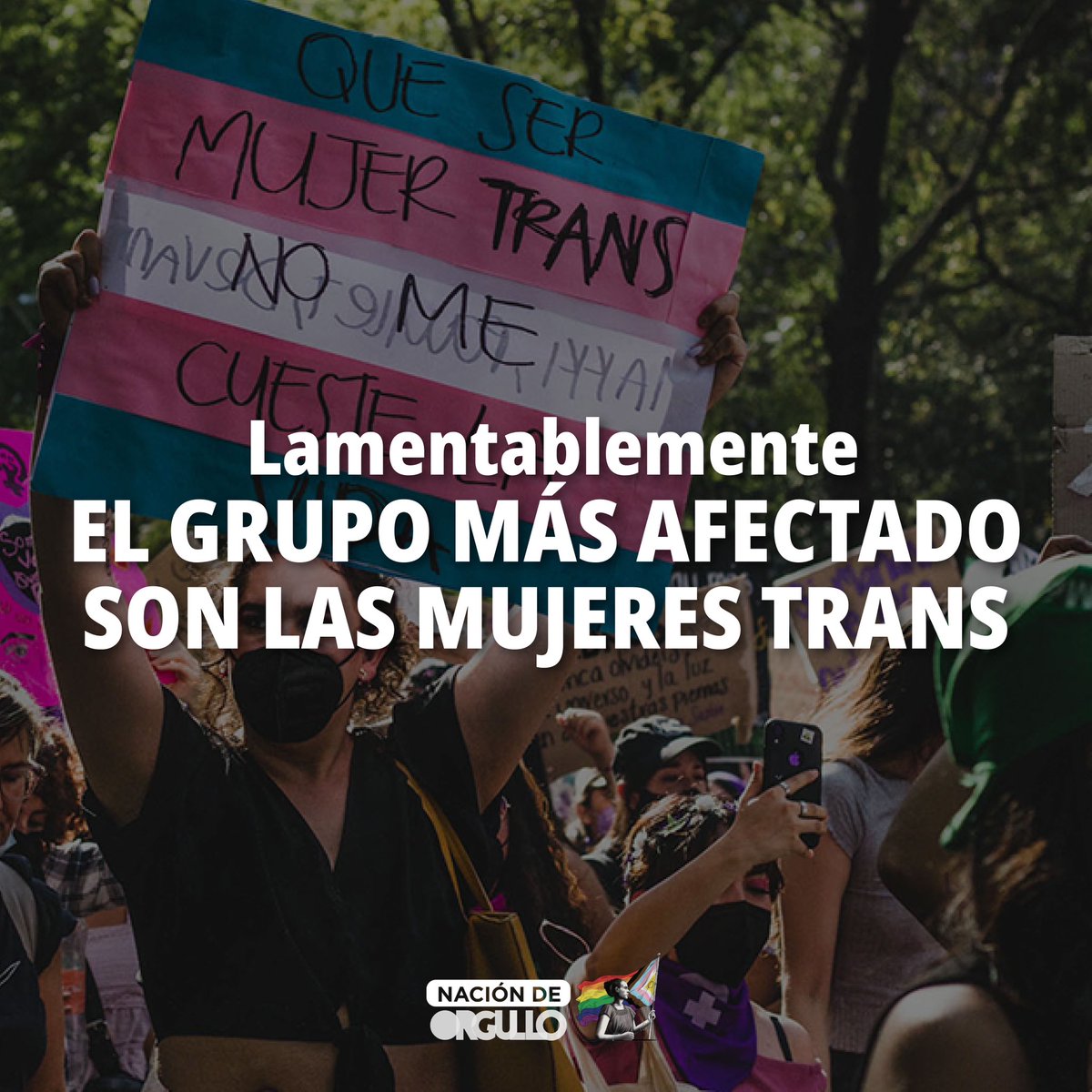 Nación de Orgullo tweet media