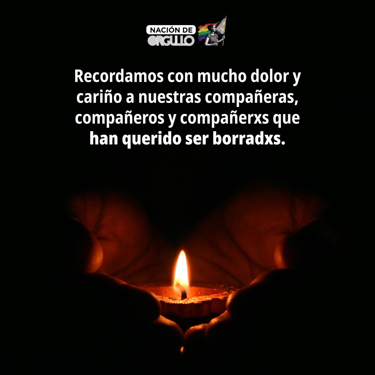 Nación de Orgullo tweet media