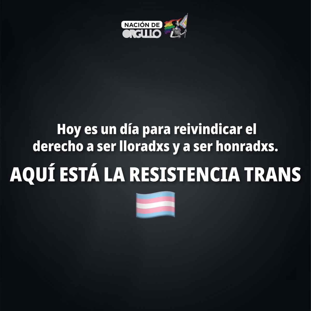 Nación de Orgullo tweet media