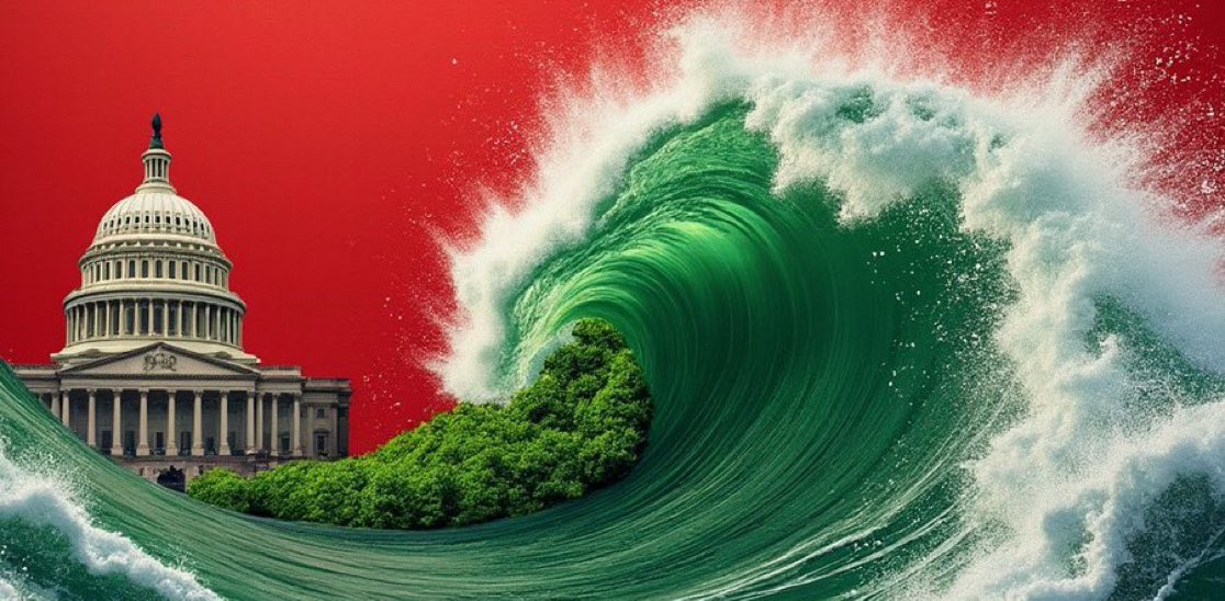 <a href="/micklockwood4/">mick lockwood</a> <a href="/GOP/">GOP</a> <a href="/AmericanCCo/">American Cannabis Collective</a> Agreed!