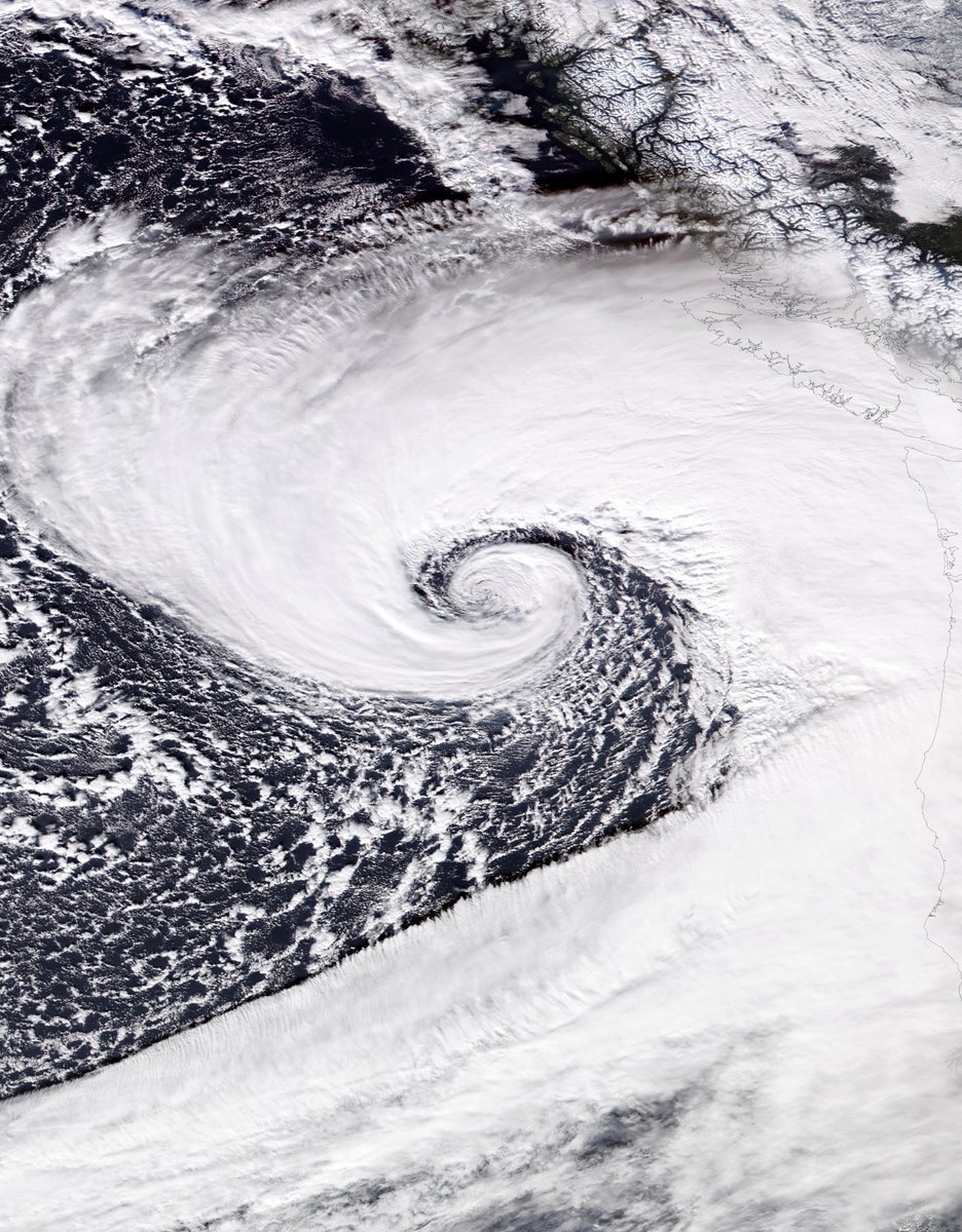Yesterday's bomb cyclone off the US West Coast near peak intensity, accompanied by an atmospheric river.

One of the most amazing satellite photos I've ever seen.