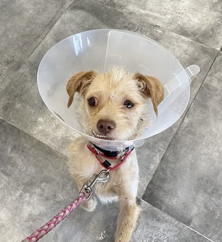 15/10 Foundation tweet media