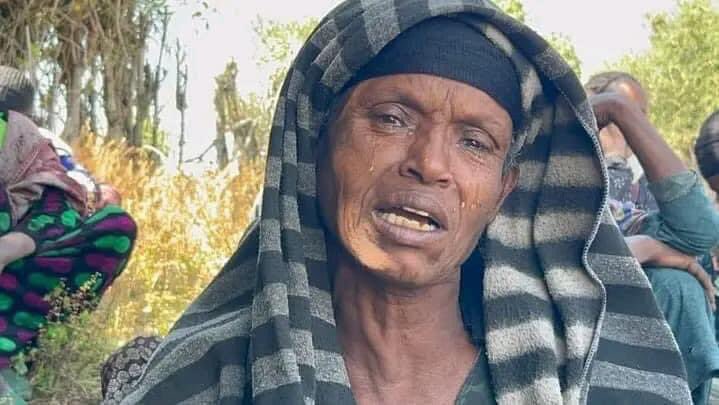 MohammedGenemo's tweet photo. The Amhara militia called Fano are killing innocent civilians in Darra district of Oromia region. A Week ago they have murdered religious leader with his family. Few days ago they have slaughtered a young boy only because of his identity. 

Stop terrorizing the innocent! https://t.co/Ij6nesSOm3