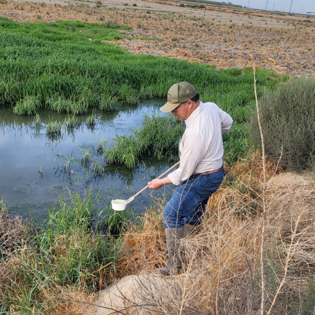 ConsolidatedMAD's tweet photo. Meet this week's Mosquito Warrior! 

Area Supervisor Gha is checking a sewage reclamation field for mosquito development. The District is grateful for his 23 years of dedicated service to the fight against mosquitoes. 

#MosquitoWarrior https://t.co/EUIJxuhoO8