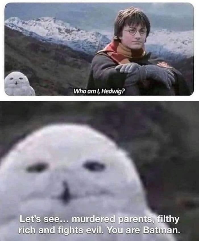 MuggleNet: #1 Wizarding World Resource Since 1999 tweet media