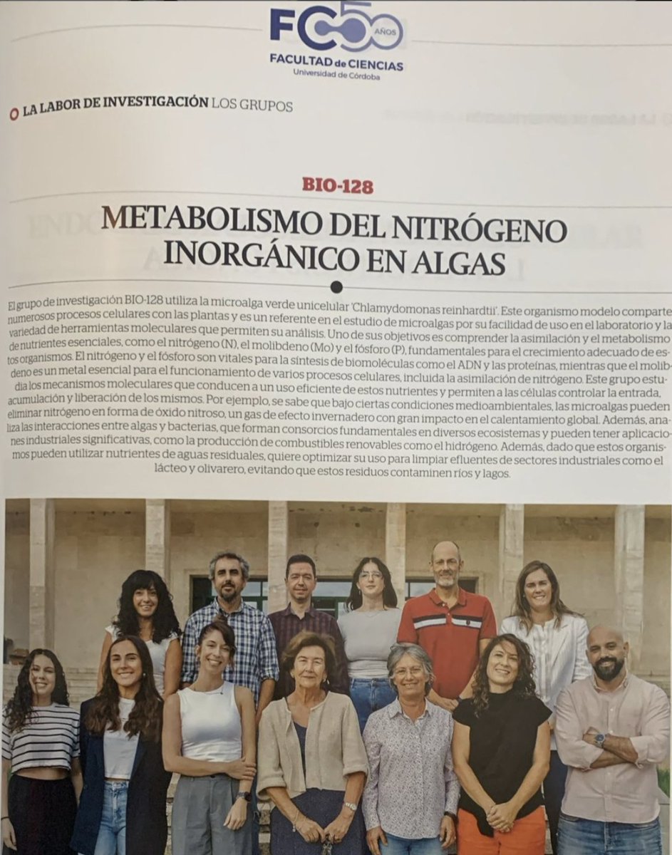 algaeFamLAB | TheChlamyLab at UCO (@algaefamlab) on Twitter photo 🥳¡Estamos de celebración! La Facultad de Ciencias de la Universidad de Córdoba cumple 50 años de excelencia académica y científica, y lo conmemora con la publicación de un libro que recoge su increíble trayectoria. 📖✨<a href="/Fac_CienciasUCO/">Facultad de Ciencias - UCO</a> <a href="/Univcordoba/">Universidad Córdoba</a> #TheChlamyLab 🥳¡Estamos de celebración! La Facultad de Ciencias de la Universidad de Córdoba cumple 50 años de excelencia académica y científica, y lo conmemora con la publicación de un libro que recoge su increíble trayectoria. 📖✨<a href="/Fac_CienciasUCO/">Facultad de Ciencias - UCO</a> <a href="/Univcordoba/">Universidad Córdoba</a> #TheChlamyLab