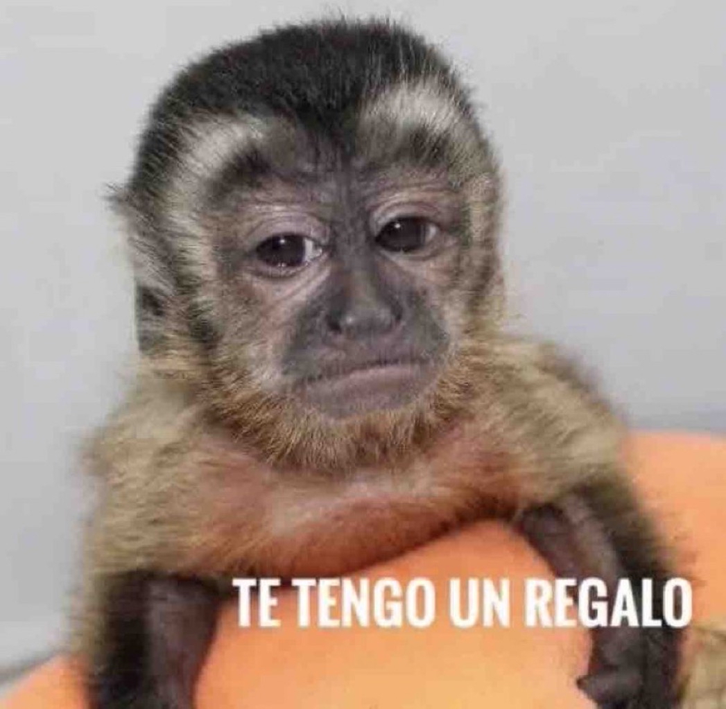 *Le compro un regalo a cualquier persona que se supone es sorpresa* 

Yo a la hora: