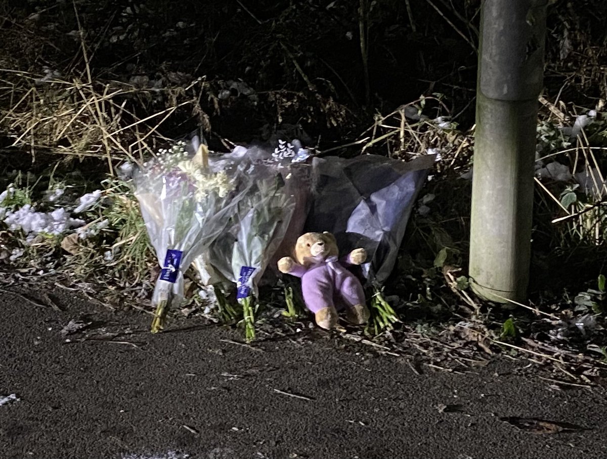 Tom George tweet media