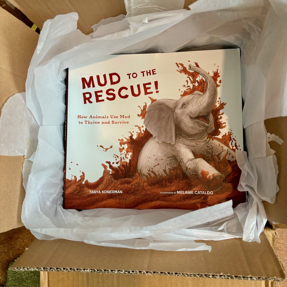 Web of Life Children's Books (@weboflifebooks) on Twitter photo MUD TO THE RESCUE! by debut author Tanya Konerman, illus by Melanie Cataldo will be published six months from today--May 20, 2025! Find out about the amazing ways animals use mud for nesting, homes, sun protection and more!
<a href="/P_G_W/">PublishersGroupWest®</a> <a href="/GreatDogLit/">Great Dog Literary</a> @konerman_tanya <a href="/melanie_cataldo/">Melanie Cataldo</a> MUD TO THE RESCUE! by debut author Tanya Konerman, illus by Melanie Cataldo will be published six months from today--May 20, 2025! Find out about the amazing ways animals use mud for nesting, homes, sun protection and more!
<a href="/P_G_W/">PublishersGroupWest®</a> <a href="/GreatDogLit/">Great Dog Literary</a> @konerman_tanya <a href="/melanie_cataldo/">Melanie Cataldo</a>