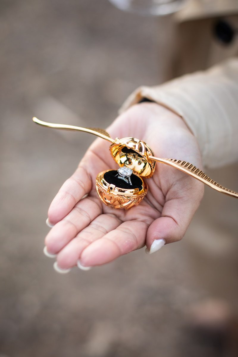 Comics & Crypto l $COLLECT tweet media