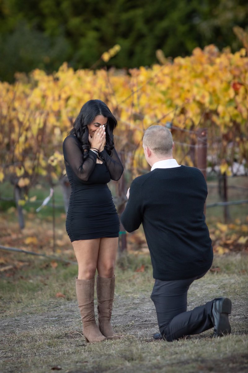 Comics & Crypto l $COLLECT tweet media