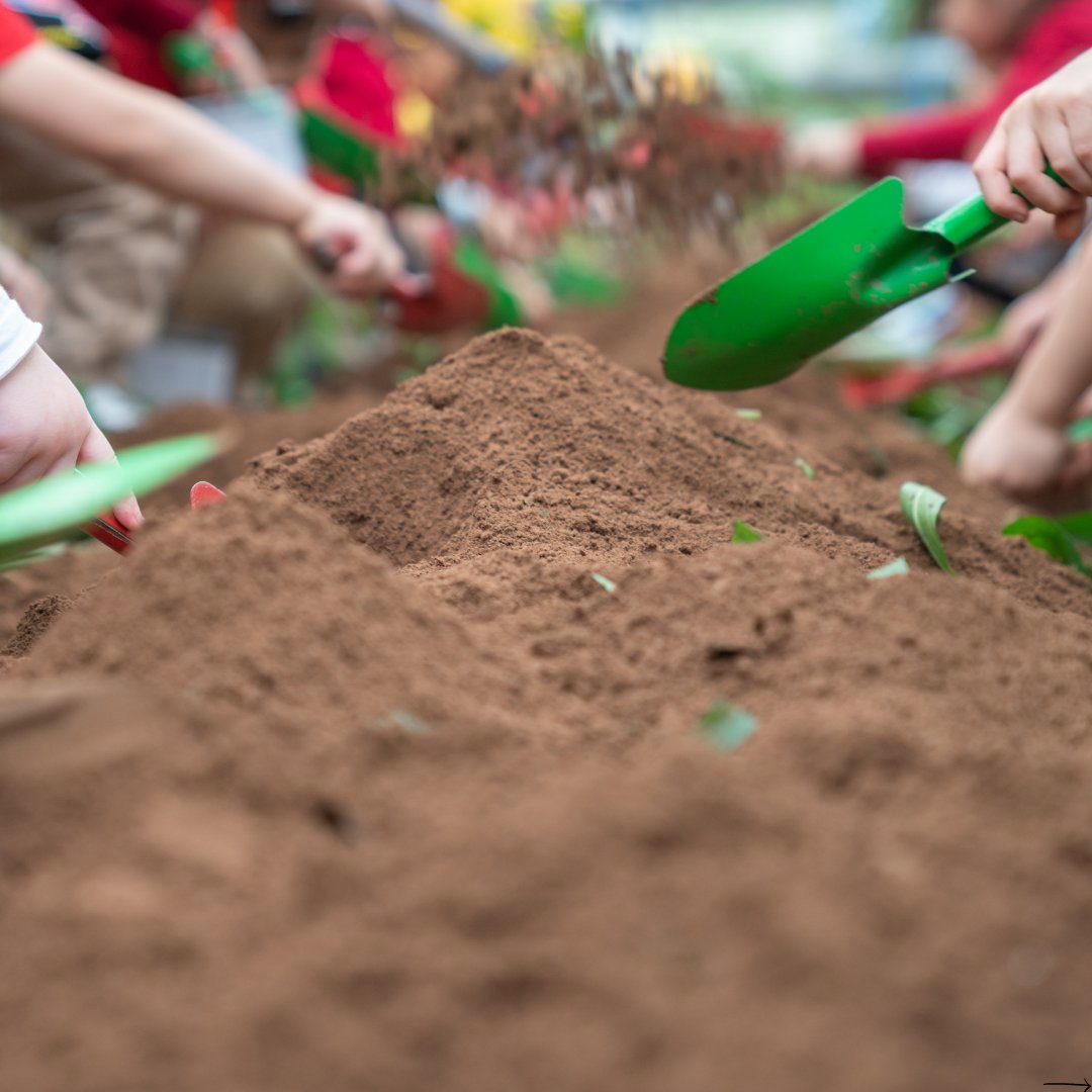 Las familias de todos los niveles de habilidad pueden ayudar con proyectos ecológicos en el Centro de Educación Ambiental Lathrop E. Smith durante un día de servicio el sábado 23 de noviembre de 1:00pm a 4:00pm. 

Estudiantes pueden obtener horas de SSL.: mcpsmd.info/48UkuSJ.